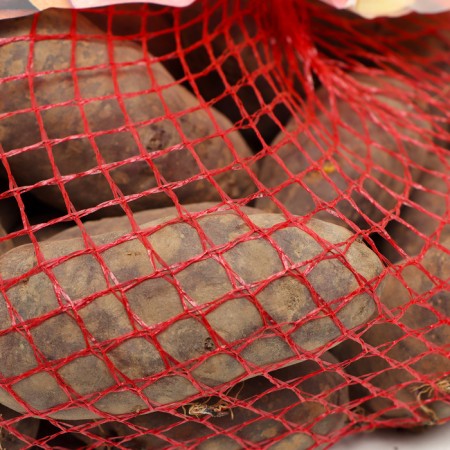 Semenine potatoes "Vasilek" 2 kg super elite, r/r 28/55-1
