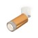 Ambrella Light, Techno, XM6327031, GU5.3, Gold -Golded, White Gold, White Gold.