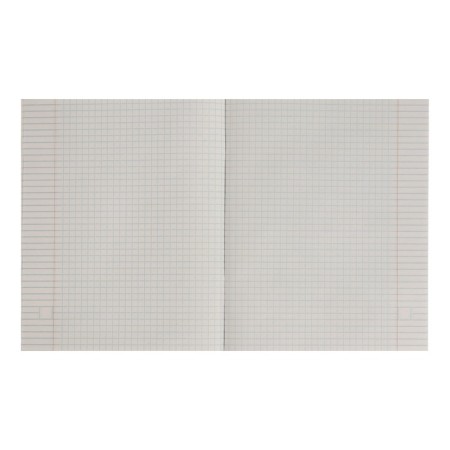 Notebook of 48 sheets in the Calligrata "Anime" cage, cover coated cardboard, offset block, mix-2