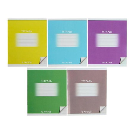 Notebook of 12 sheets in Calligrata "School", cover coated cardboard, VD-LK, OFSET BOLK, Beliece 95%, MIX