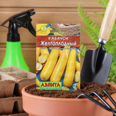 Zucchini zucchini "Yellowicated" "Leader", 10 pcs g,-5