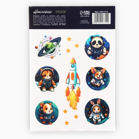 Children's stickers with a luminous layer "Cosmos", 11 x 16 cm