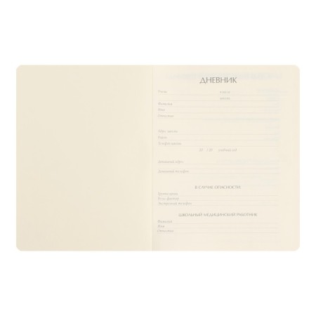 Universal diary for grades 1-11, 48 Urban sheets, artificial leather cover, pancake embossing, khaki-2