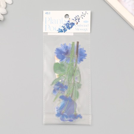 Plastic stickers "Flowers and quotes. Blue" set 12 pcs 8.5x21.5x0.2 cm-3