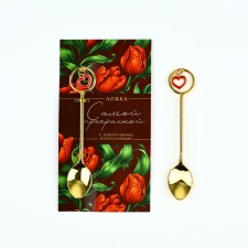 A teaspoon spoon with a suspension 