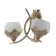 Sconces "Ariadne" 2he27 40W gold 22x17 cm