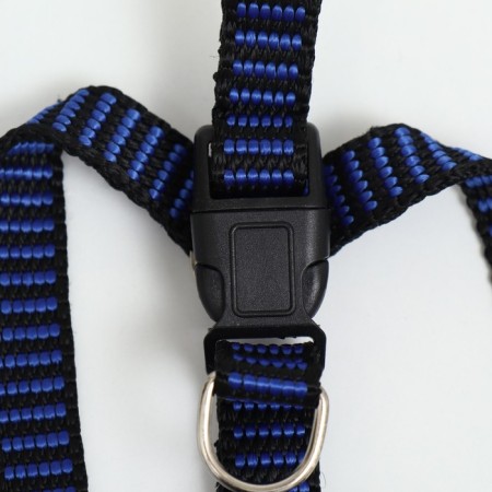 Relief harness 36-49 x 1.5 cm, blue-hourly-5