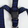 Relief harness 36-49 x 1.5 cm, blue-hourly