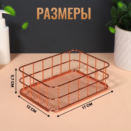 Organizer for storing cosmetic supplies "Rafael", 17 × 12 × 5.7 cm, bronze color-1