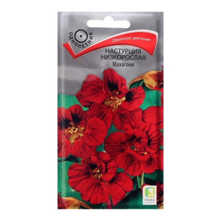 Flower seeds nasturtium stunted "Mahagoni", 1 g