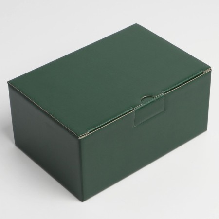 Gift folding box, packaging, "green", 22 x 15 x 10 cm-1