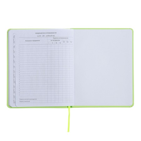 Universal diary for grade 1-11 Capybara, hard cover, artificial leather, silkography, lies, 80 g/m2-11