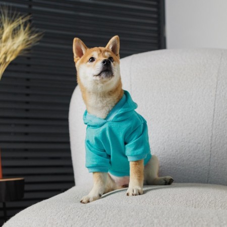 CHAMPION Sweatshirt for Dogs (Futher), size XS (DS 18, Osh 28-30, OG 38-40), Blue-9
