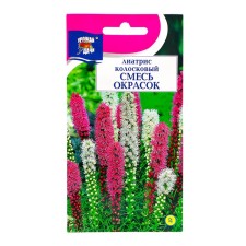 Flowers of Liatris 