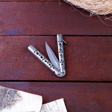 Silver-button knife 15.7cm, blade 69mm/1mm, silver-1
