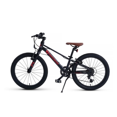 Bicycle 20 ’’ maxiscoo 7bike m200, black color-2