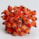 Decorative berries, orange, 7 × 6 × 7 cm, 40 berries