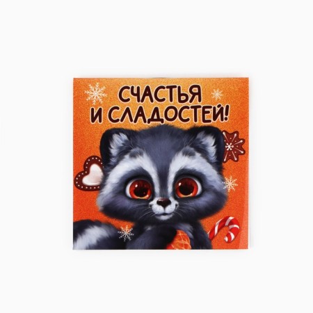 New Year's gift set, notebook and keychain plastic "New Year's raccoon. Happiness and sweets! "-1
