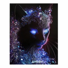 Дневник для 5-11 классов TechnoBoom №4, интегральная обложка, глянцевая ламинация, 48 листов, блок 70 г/м2