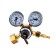 Reducer carbon dioxide "Svarog" UR-6-6M, 10 MPa at the input, 0.6 MPa worker, 6 m3/h