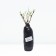Lapceta shrubby (Northern Garden series) "Mount Everest", 1 pc, tube, spring 2025
