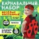 Carnival set "Funny insects": a bandage and a ladybug made of felt, 3-7 years old