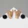 Best Friends, Black and White In gold, icons.
