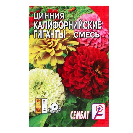 Cinnia flower seeds "California giants" mixture, o, 0.3 g-2