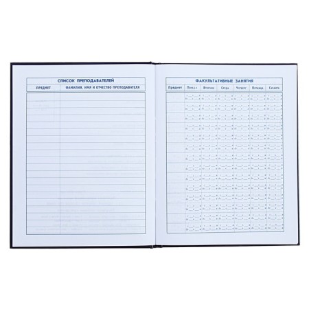 Diary for grades 5-11, 48 sheets "Cosmo Cat", solid cover, glossy lamination, foil embossing-6
