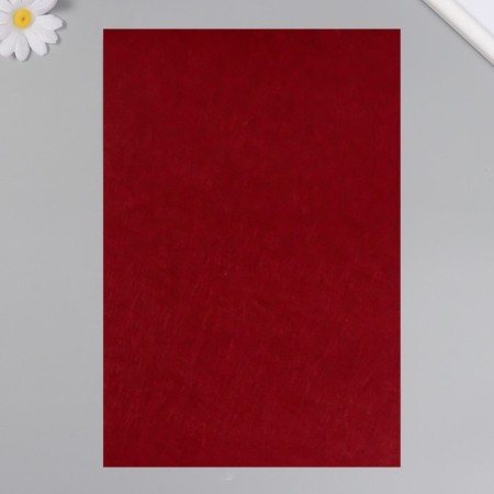 Father hard 1 mm "burgundy" set 10 sheets format A4-3
