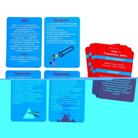 Set for experiments "Scientific set 2B1", model of the human body and laboratory dishes-9