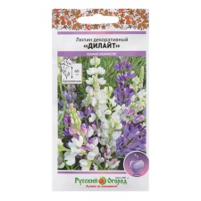 Flowers of lupine fragrant 