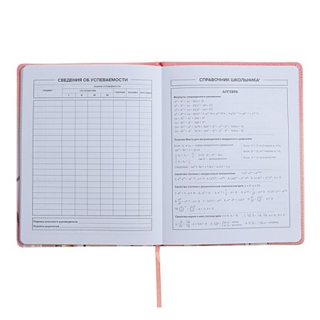Universal Diary Grade 1-11, 48 sheets "Girl in the cap", solid covering of artificial leather, uplife, lies, universal cheat sheet, block 80 g/m2-8