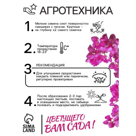 Antigonon "Liana of Love", 5 pcs.-3