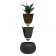 Beton Bowl flowers, 29 × 19.5 × 2 cm, black