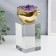 Interior brass souvenir, quartz "Golden grenade with amethyst" 18x8x8 cm