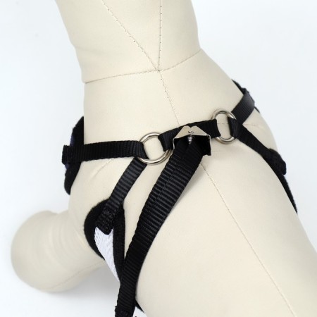 A set with a soft harness and a bantik "sea", size S, leash 120 x 1.5 cm, fire 23-42 cm 968377-3