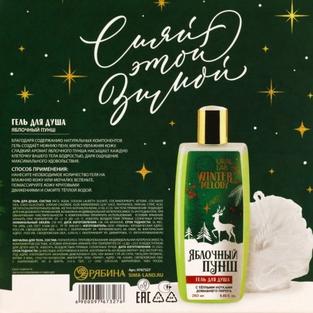 Gift set of cosmetics, shower gel 250 ml and washcloth, Winter Melody by Ural Lab-8