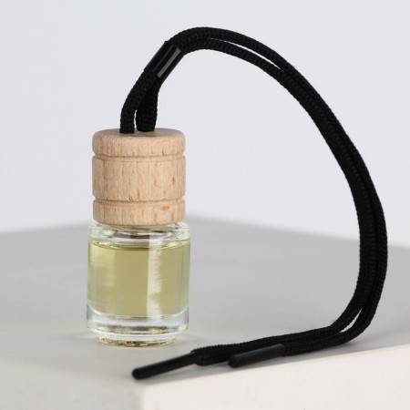 Fragrance to the car on February 23 "Go Hard", aroma: Black ice-2