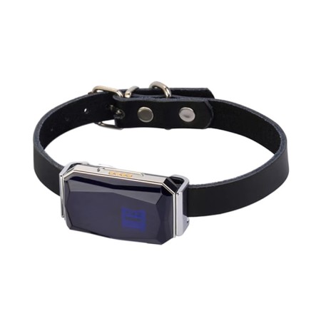GPS AK32 animals tracker, with a collar, accuracy up to 10 m, battery 500 mAh, silver