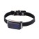 GPS AK32 animals tracker, with a collar, accuracy up to 10 m, battery 500 mAh, silver