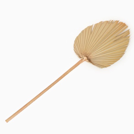Dry flowers "Palm leaf", 54 × 110 × 2 cm-5