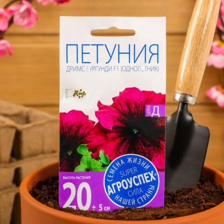 Burgundy F1, large -flowered, oh, 10pcs of flowers-3