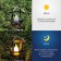 Lamp on the solar battery "Era", "loft", 26x17 cm, IP44, 3LED, orange