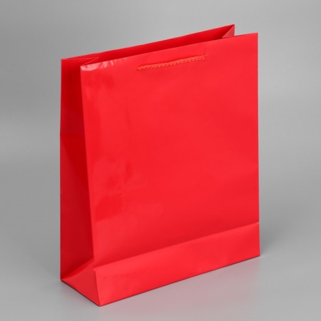 Gift laminated package, packaging, red, m 24 x 29 x 9 cm-6