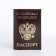 Passport cover, brown color