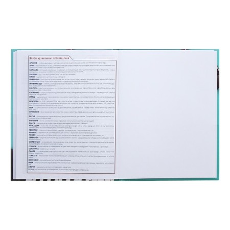 Diary for the music school "Musical pause", cover coated cardboard, two -tone block, 48 sheets-12