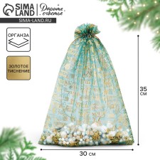 Bag Gift Organza 