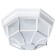 Wall lamp PEGASUS 13 cm, D 27 cm, 1x60W E27