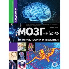 Brain. History, theory and practice